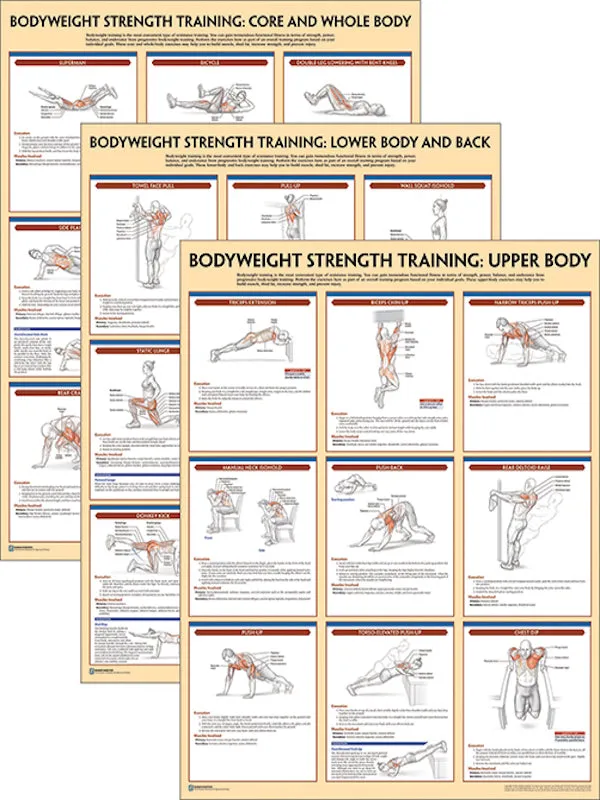 Bodyweight Strength Training Anatomy Poster Series