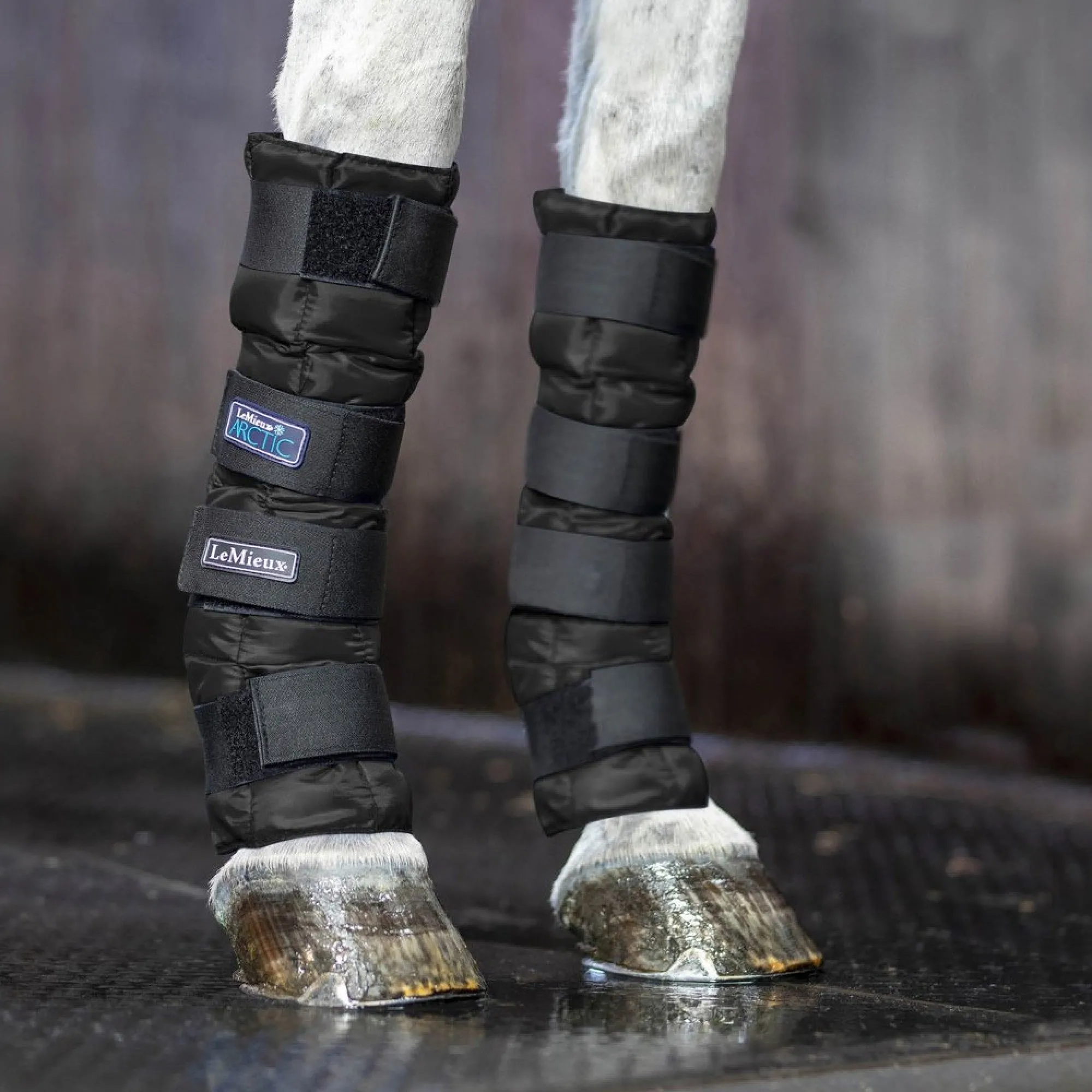 Lemieux Arctic Ice Boot