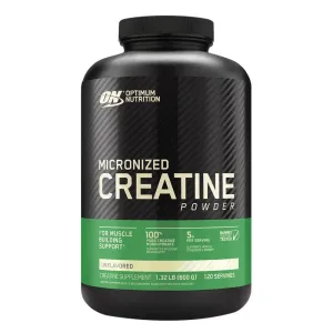 Optimum Nutrition (ON) Micronized Creatine Powder 600g